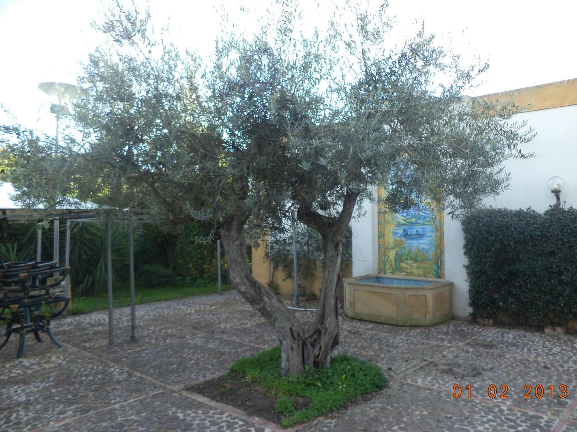 שאקה Hotel Villa Palocla מראה חיצוני תמונה
